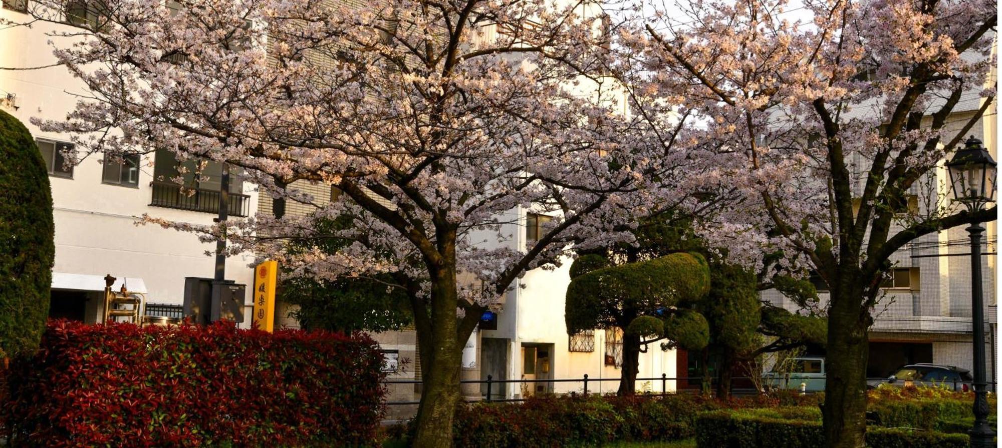 媛楽園 松山中心地及び道後温泉に近い家族やグループ旅行の多人数が泊まれる快適な宿 Gasthof